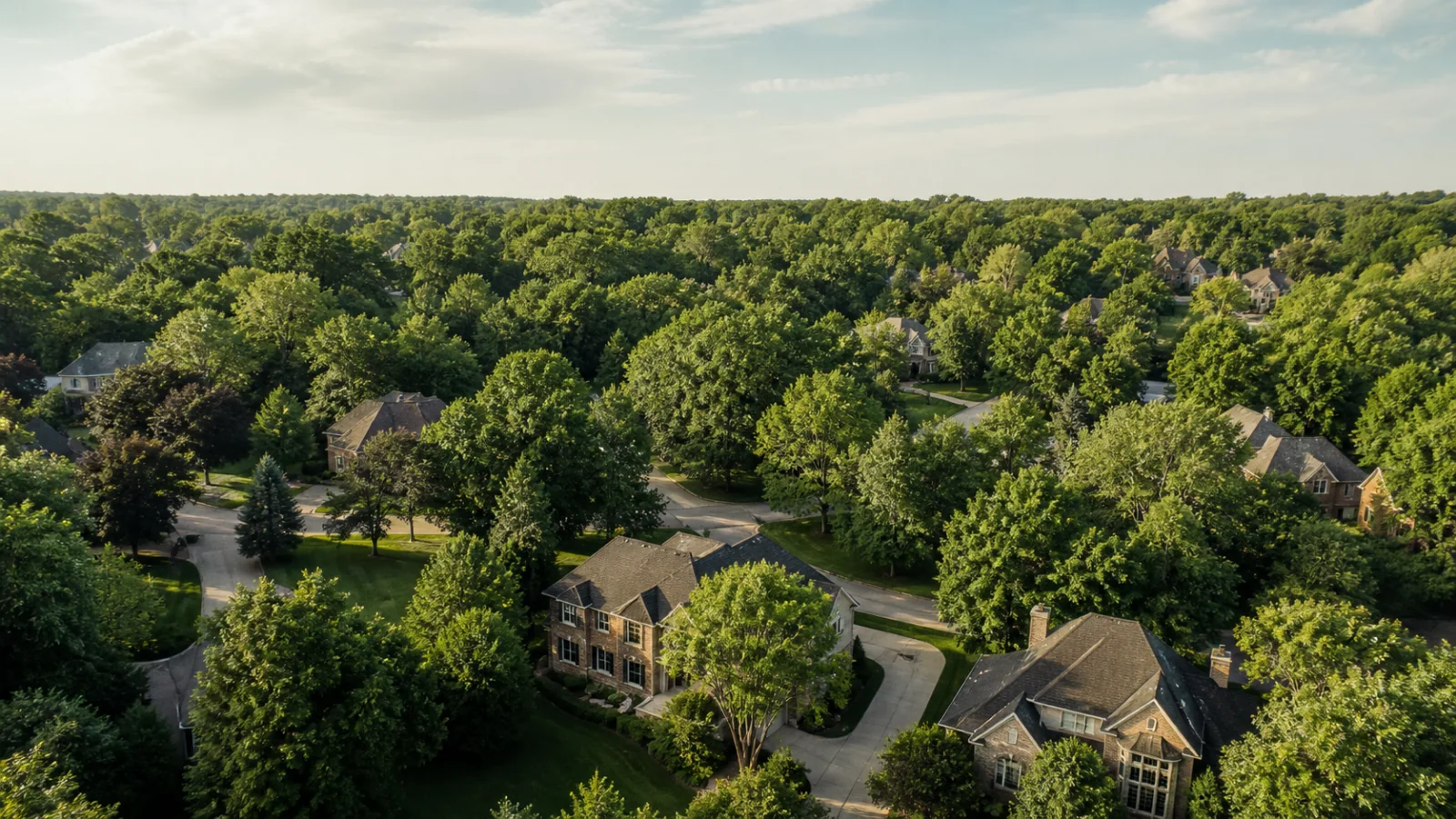 Mature trees in a north Indianapolis residential setting representing Geist